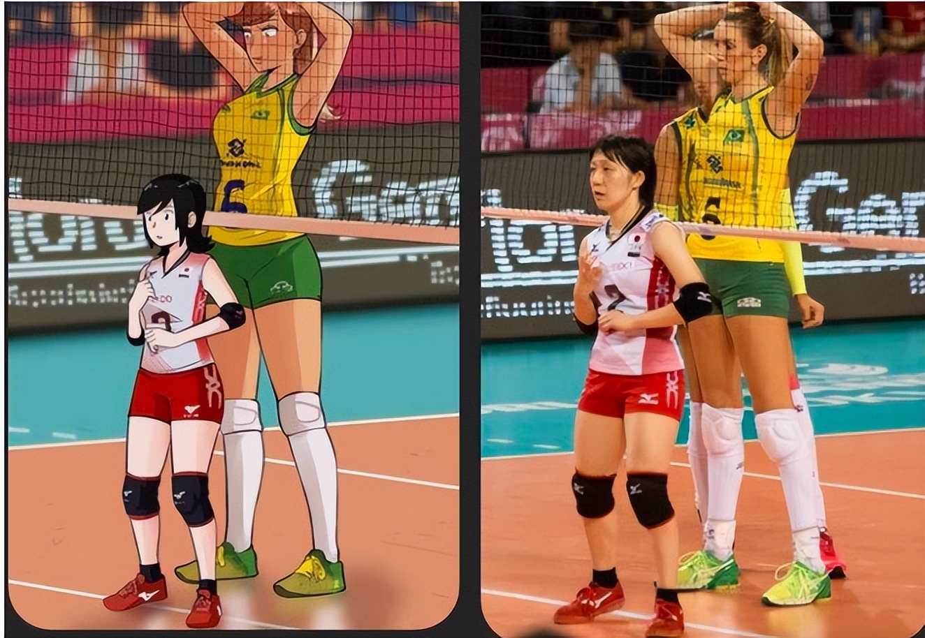 博斯體育女排世俱杯_2019女排世界杯博斯體育_世俱杯女排2021